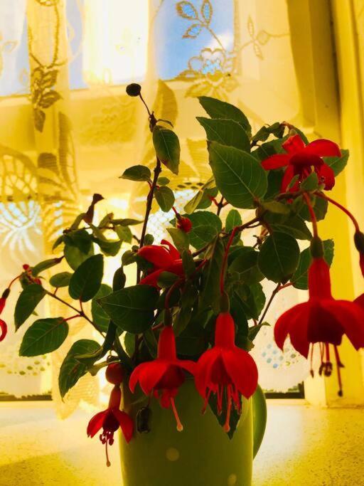 Carpe Diem Rooms Flat Near Zone 1 London Ngoại thất bức ảnh