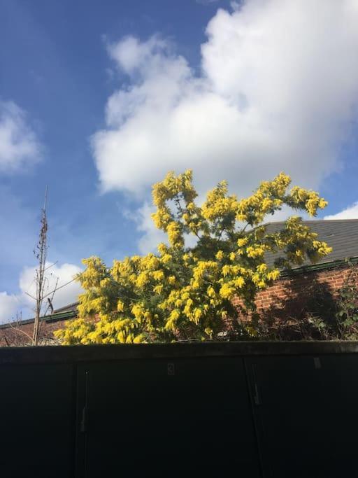 Carpe Diem Rooms Flat Near Zone 1 London Ngoại thất bức ảnh