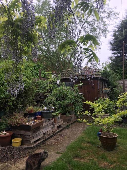 Carpe Diem Rooms Flat Near Zone 1 London Ngoại thất bức ảnh
