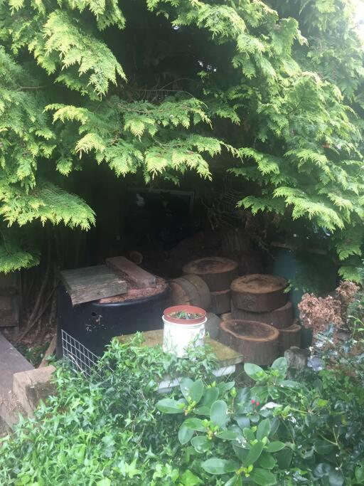 Carpe Diem Rooms Flat Near Zone 1 London Ngoại thất bức ảnh